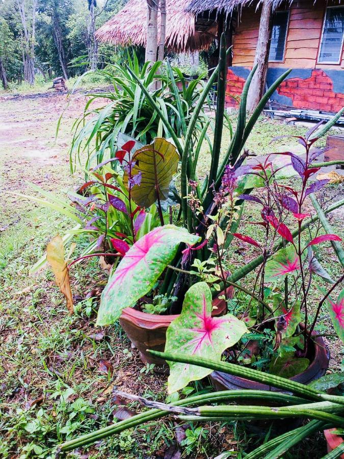 Baan Jing Jai Homestay Resort Lanta Ko Lanta Exteriör bild